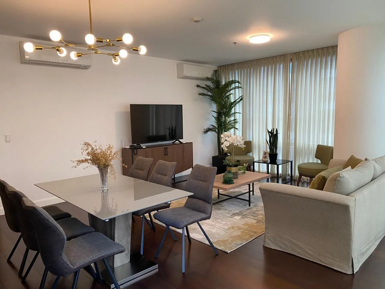 The suites